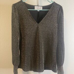 NWOT - Alex Parker Black Glittery V-Neck Top Size L